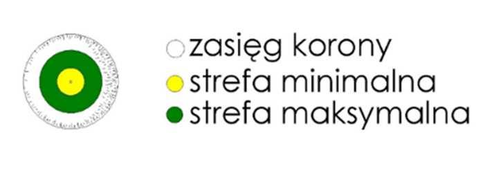 C. USZKODZENIE KORY (UBYTKI POWIERZCHNIOWE) Zabezpieczenie ubytku powierzchniowego kory obejmuje: wygładzenie i uformowanie powierzchni rany (ubytku); uformowanie krawędzi rany (ubytku), co powoduje