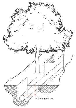 Zastosowanie przecisków sterowanych (tunelowania) jest metodą pozwalającą na ochronę systemów korzeniowych drzew w trakcie montażu instalacji podziemnych.