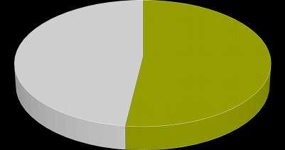 Struktura ruchu przyjazdowego Płeć: 211 212 213 214 215 216 217,36,4,51,53,4,47,47,52 kobieta mężczyzna 48,%