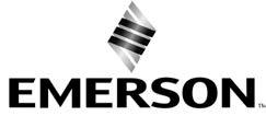 Firmy Emerson, Emerson Automation Solutions ani żadna z ich jednostek stowarzyszonych nie ponoszą odpowiedzialności za dobór, stosowanie bądź obsługę jakiegokolwiek produktu.