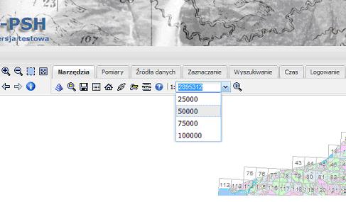 DOBÓR PRZEDZIA U SKALOWEGO GEOWIZUALIZACJI W SERWISACH GEOINFORMACYJNYCH.