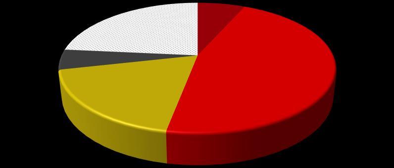 Pozostali akcjonariusze 23,50% Andrzej Dadełło - bezpośrednio 6,67% Quercus TFI 5,00% Nolmanier Limited 18,48% DSA FG SA 46,35% Wykres 2.