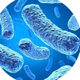 3 Działanie Bakteriostatyczne nie wspiera wzrostu biologicznego i nie pozwala na rozwój mikroorganizmów, bez stosowania dodatków biobójczych.
