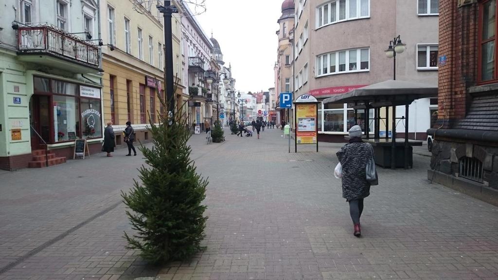 . Innaryzacja fooraficzna Zdjęci nr.