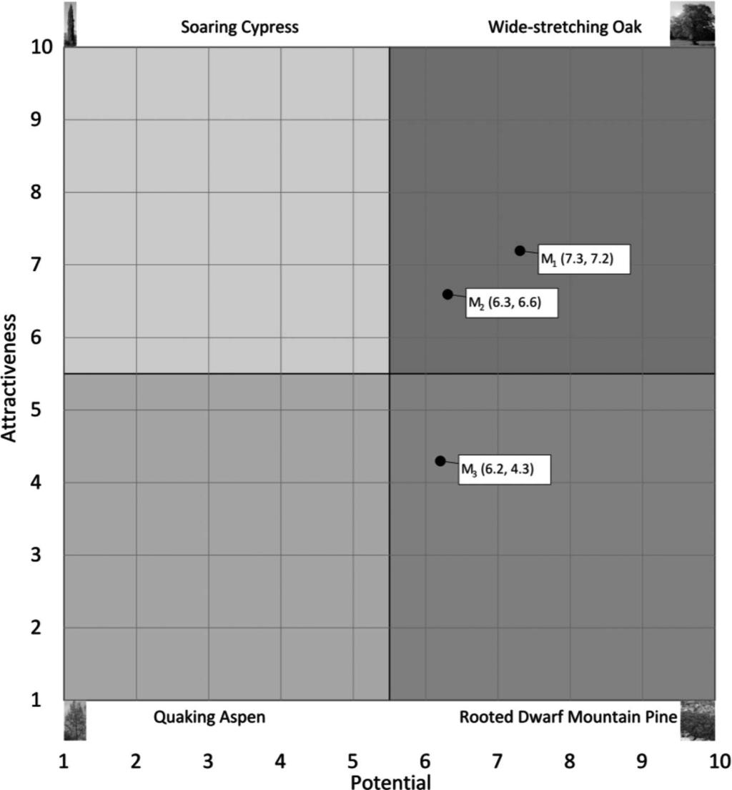 1726 Table 4. The multi-aspect results were then visualised with a dendrological matrix of technology value (Fig. 25). Fig. 26.