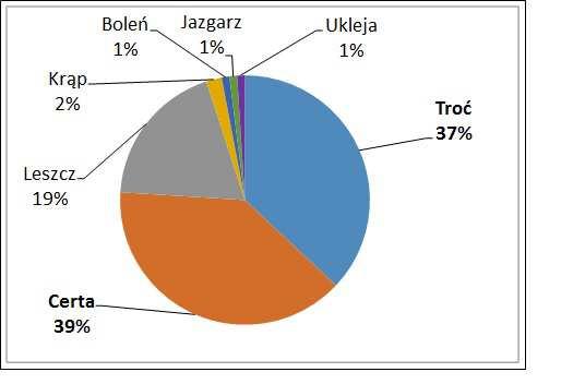 Udrożnienie systemu Sanu dla migracji ryb dwuśrodowiskowych szansą aktywizacji turystycznej jedynie w maju 2015 r., pozostałe gatunki odnotowano w czerwcu 2015 r.