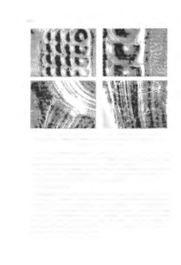 166 Rys.1. Fotografie (otrzymanych przy pomocy skaningowego mikroskopu elektronowego, SEM typu 88300) przetopionych obszarów. $rednica stopionego obszaru wynosi ok.