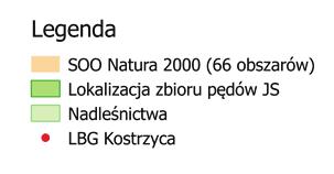 2000. Fot. 1. Zbiór pędów jesionu wyniosłego w Nadleśnictwie Gołdap (Archiwum LBG Kostrzyca).