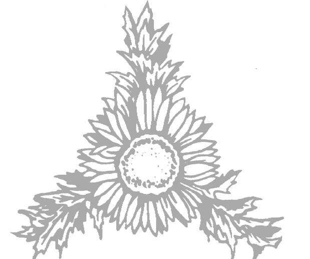 POLSKIE BOTANICORUM TOWARZYSTW O SOCIETAS