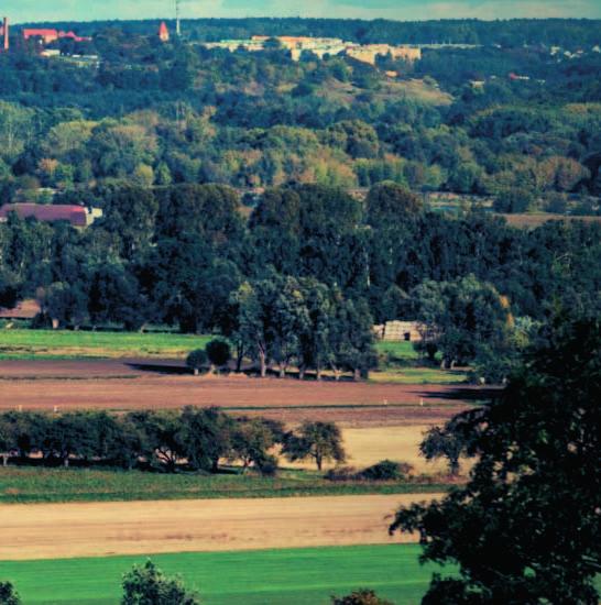 Niezależnie czy jesteśmy w małym gospodarstwie czy w dużym
