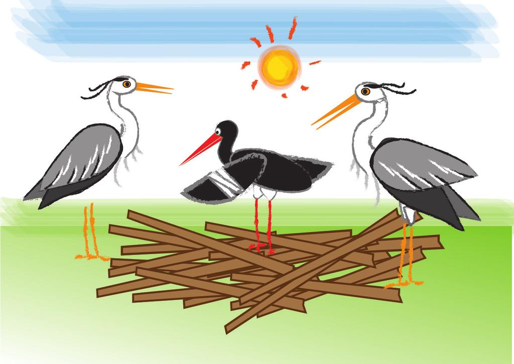 Ilustracja 5 Ilustracja 7 Węgielek pokazał zranione skrzydło, więc czaple zabrały go do swojego gniazda. Opiekowały się nim kilka tygodni, aż w końcu mały bocian poczuł się dobrze.