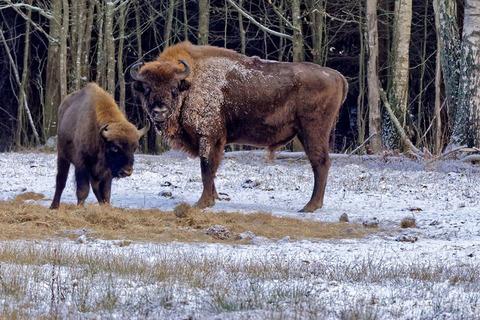 LOKALNĄ ORGANIZACJĘ TURYSTYCZNĄ