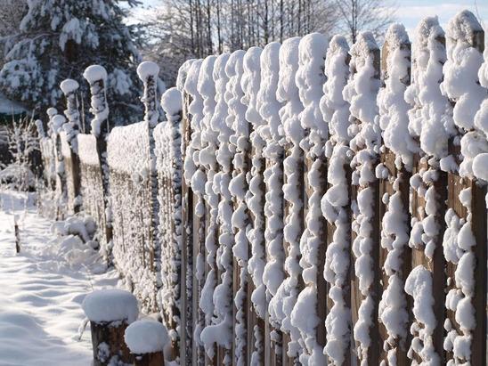 Wejmutka - Święta z przyrodą i tradycją w Puszczy Białowieskiej Koszt pakietu świątecznego: Pokój 2 osobowy 510 zł/ osobę Pokój 1 osobowy dopłata do pakietu 65zł/ dobę Dostawki: Dzieci od 3 do 12 lat