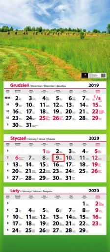 5 49 6,75 Kalendarz książkowy Baladek dzień