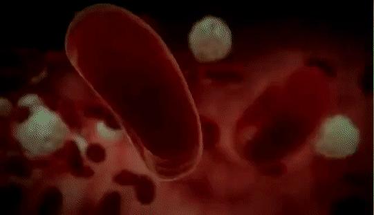 Pomiar lepkości krwi Pomiar lepkości krwi pełnej Lepkość krwi podobnie jak ciśnienie krwi wzrasta i spada z jednego ekstremum do drugiego w każdym cyklu sercowym Z tego powodu pomiar lepkości krwi
