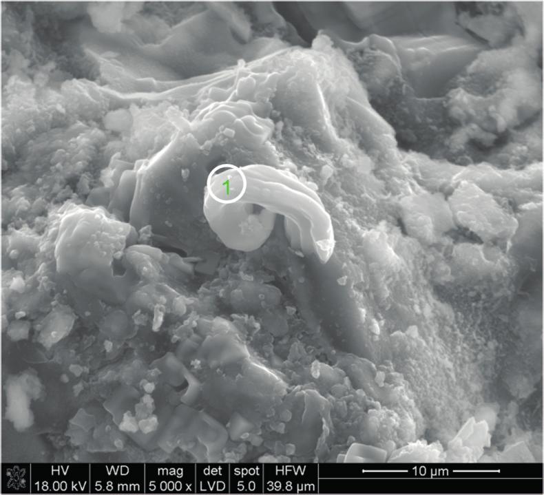 Rys. 8. Chlorek sodu w odległości 8 mm od powierzchni próbki Fig. 8. A sodium chloride in the distance of 8 mm from external surface of specimen Rys.
