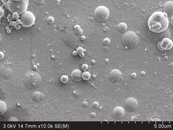 powiększeniu 50 000 (d) Fig. 1. Surface view of the undoped nanocrystalline nickel coating (a) and coatings obtained from baths containing 0.