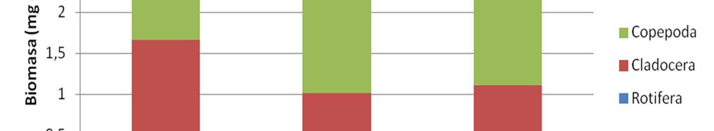 Biomasa głównych grup taksonomicznych zooplanktonu w