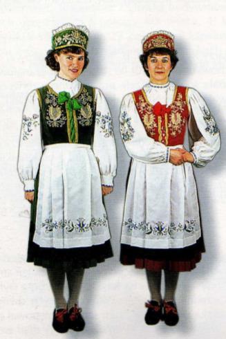 Wzorem stał się strój funkcjonujący w zespole Kaszuby, który jednak jak pisała Bożena Stelmachowska w pierwszej połowie lat 50.