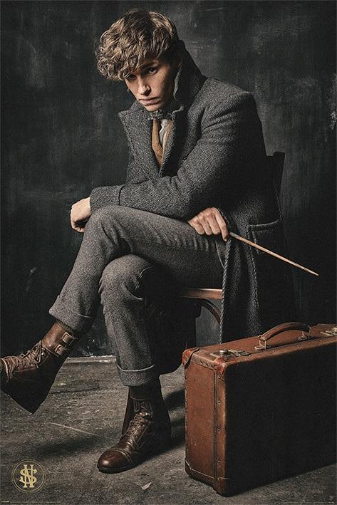 Grindelwald zaczyna gromadzić swoich zwolenników, namawia ich do wyniesienia czarodziejów ponad wszystkie niemagiczne istoty.
