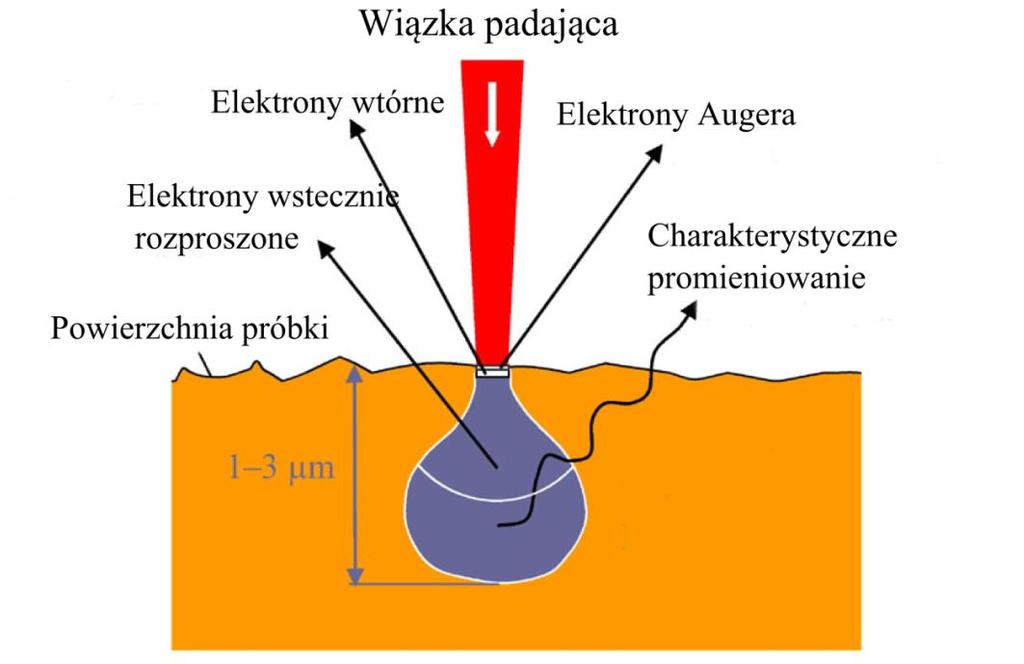 [85]. W zależności od składu chemicznego i grubości badanego materiału stosunek liczby elektronów odbitych, zaabsorbowanych i przechodzących może się zmieniać.