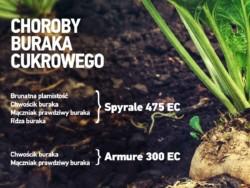 https://www. Produkt od Syngenty stanowi podstawę ochrony fungicydowej buraka w państwach będących dużymi producentami buraków w Europie Niemczech, Wielkiej Brytanii oraz Francji.