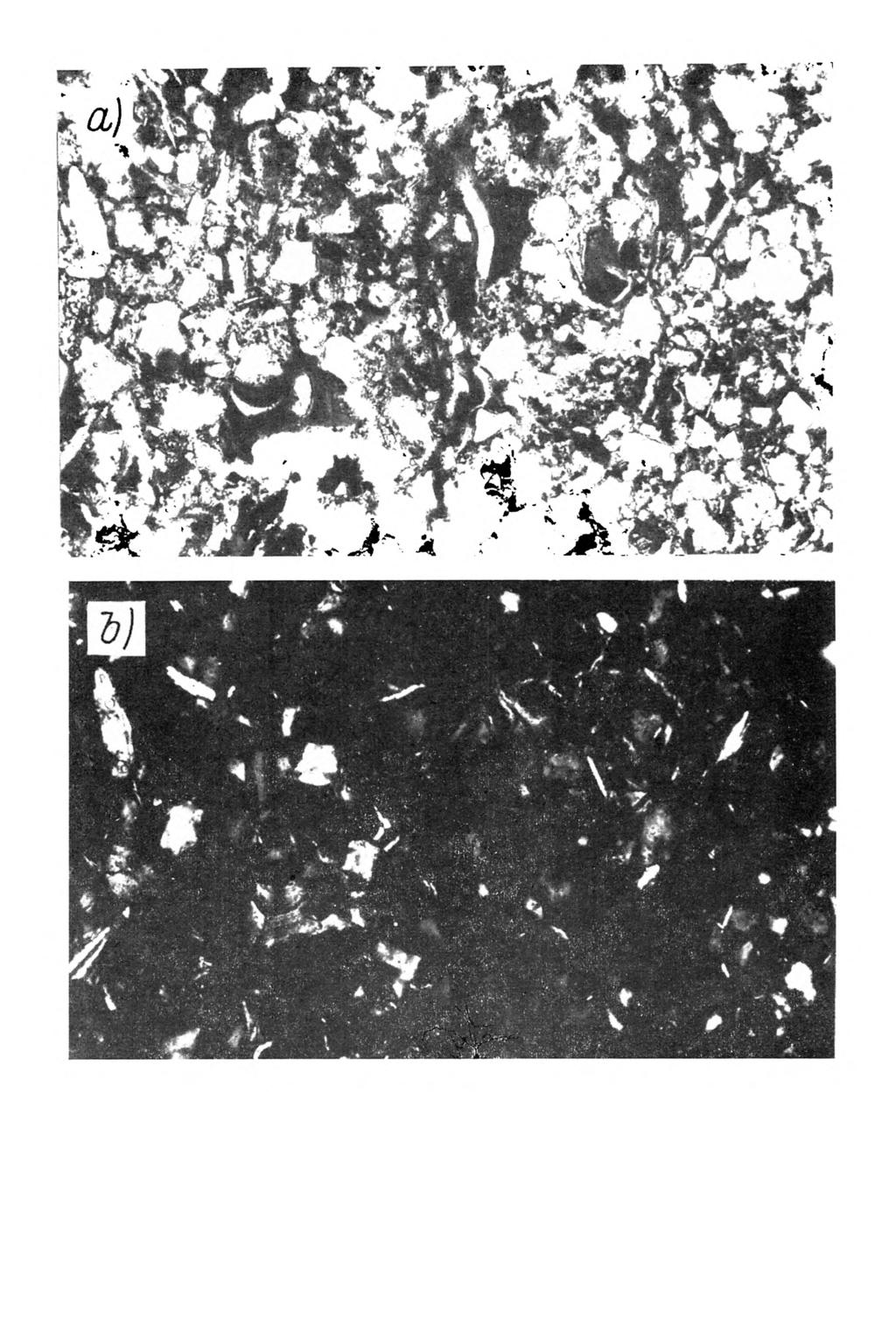 Rys. 8. M ikrom orfologia gleby bielicow ej wytworzonej z utworu pyłow ego ilastego. Poziom B/,, głębokość próbki 45-50 cm. A rgilla-skel-vosepic.