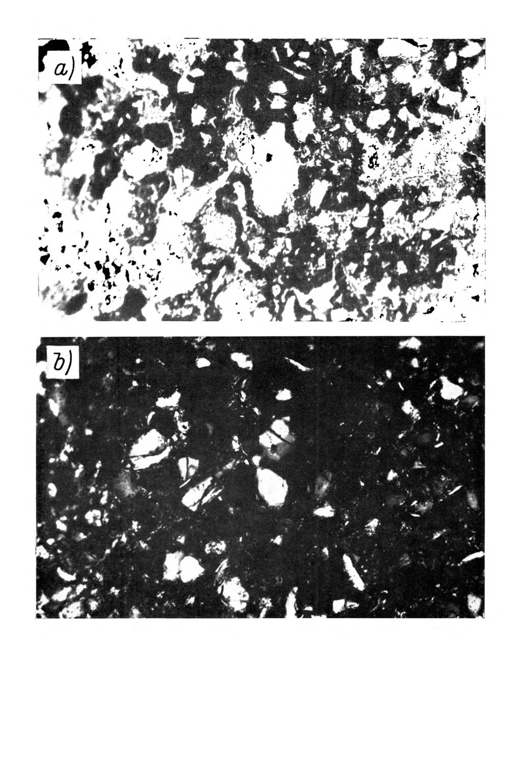Rys. 10. M ikrom orfologia gleby bielicow ej w ytworzonej z utworu pyłow ego ilastego. Poziom B/C, głębokość próbki 75-85 cm.