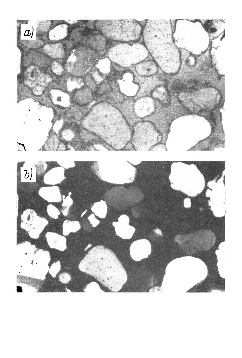 Rys. 6. M ikrom orfologia gleby bielicow ej w ytworzonej z piasku luźnego. Poziom BhFe, głębokość próbki 65-78 cm.