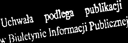 Planowane wydatki Powiatu Pruszkowskiego, wprowadza