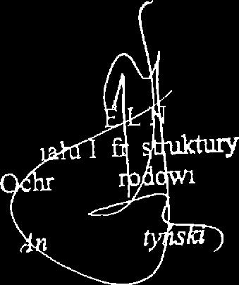 lokalizacji sygnalizacji świetlnych realizowanych na drogach