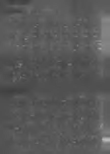 0-19 19,48 19,67 19,78 19,84 19,60 19,72 19,83 19,87 20-39 18,95 19,24 19,42 19,5 19,44 19,60 19,71 19,77 40-59 16,82 17,31 17,75 17,94 18,65 18,87 19,09 19,19 60-79 9,73 10,39 11,39 11,87 14,38