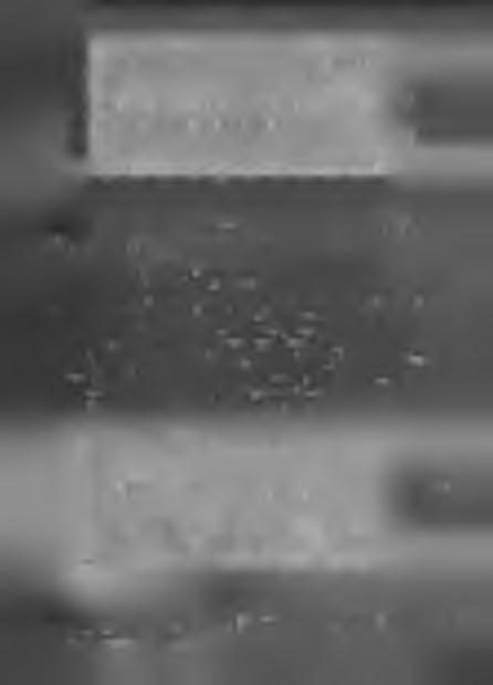 0 10 20 30 40 50