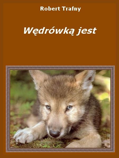 Robert Trafny Wędrówką jest X Niniejszy e-book pochodzi ze strony www.