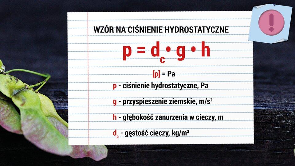 Praca domowa Polecenie 4.