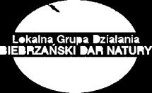 na rynku pracy. IX. Rozwój lokalny Działanie: 9.