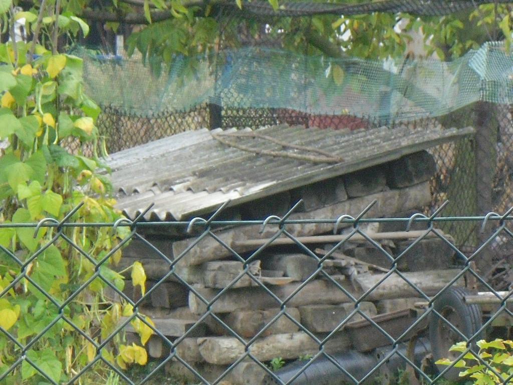Program usuwania wyrobów zawierających azbest z terenu Gminy Krzyżanowice Fot. 3. Zdjęte płyty azbestowe jako osłona stosu drewna we wsi Krzyżanowice (odpad niebezpieczny).