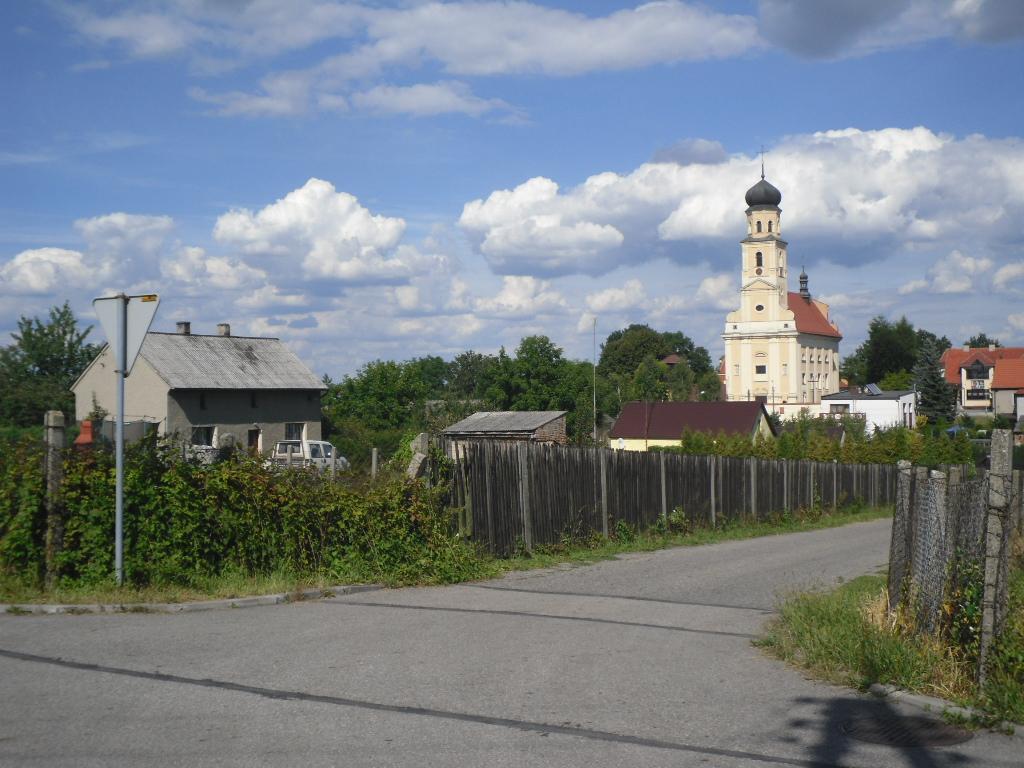 Program usuwania wyrobów zawierających azbest z terenu Gminy Krzyżanowice Fot.9. Azbest jako czynnik negatywny w sensie estetycznym i krajobrazowym.