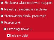 Struktura menu - Dodawanie nowego działu głównego).