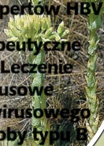 Leczenie przeciwwirusowe