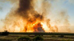 https://www. Chmury toksycznego dymu zagrożeniem dla pól Od początku roku doszło w Polsce do niemal 80 pożarów wysypisk.
