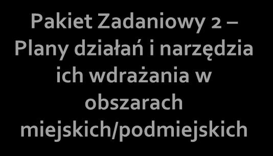 STRUKTURA PROJEKTU LUMAT Pakiet Zadaniowy M