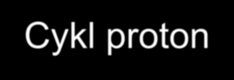 Cykl