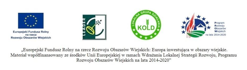 3. Operacje o charakterze nieinwestycyjnym wymagają przedstawienia dodatkowych materiałów dokumentujących organizację i przebieg operacji (np. imprezy plenerowe, szkolenia, itp.