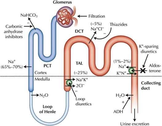 Inhibitory