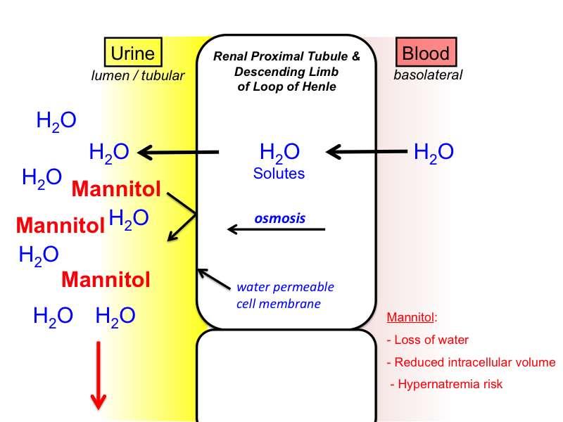 Mannitol