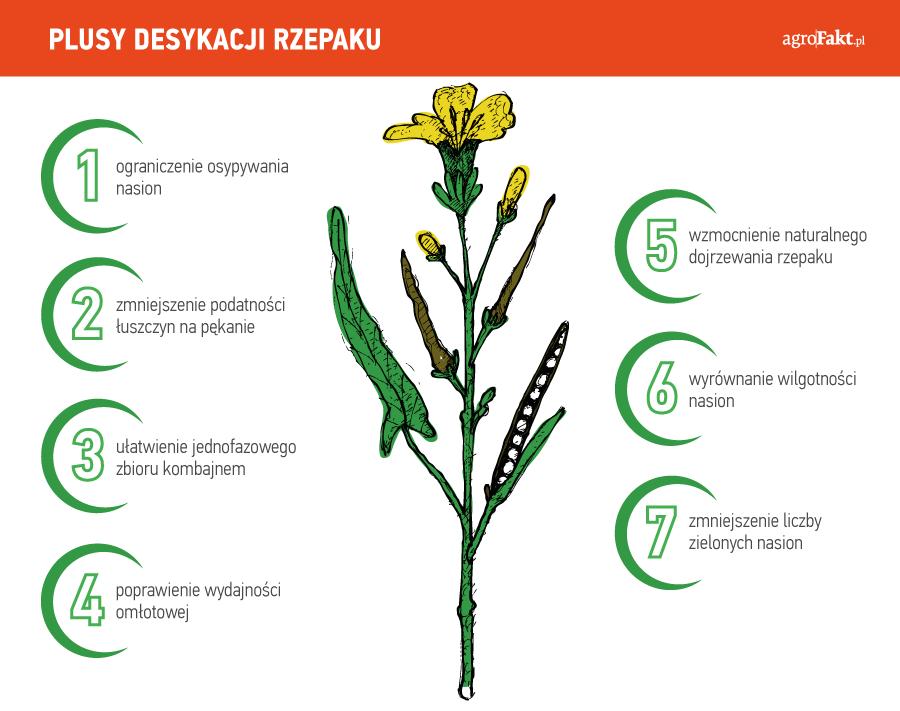 https://www. ale ma też wady Skutkiem ubocznym zabiegu desykacji jest ryzyko poniesienia strat powodowanych przejazdami podczas oprysku.