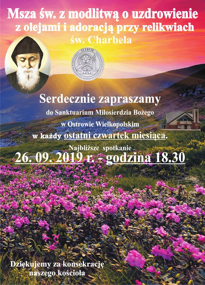 ci¹g dalszy