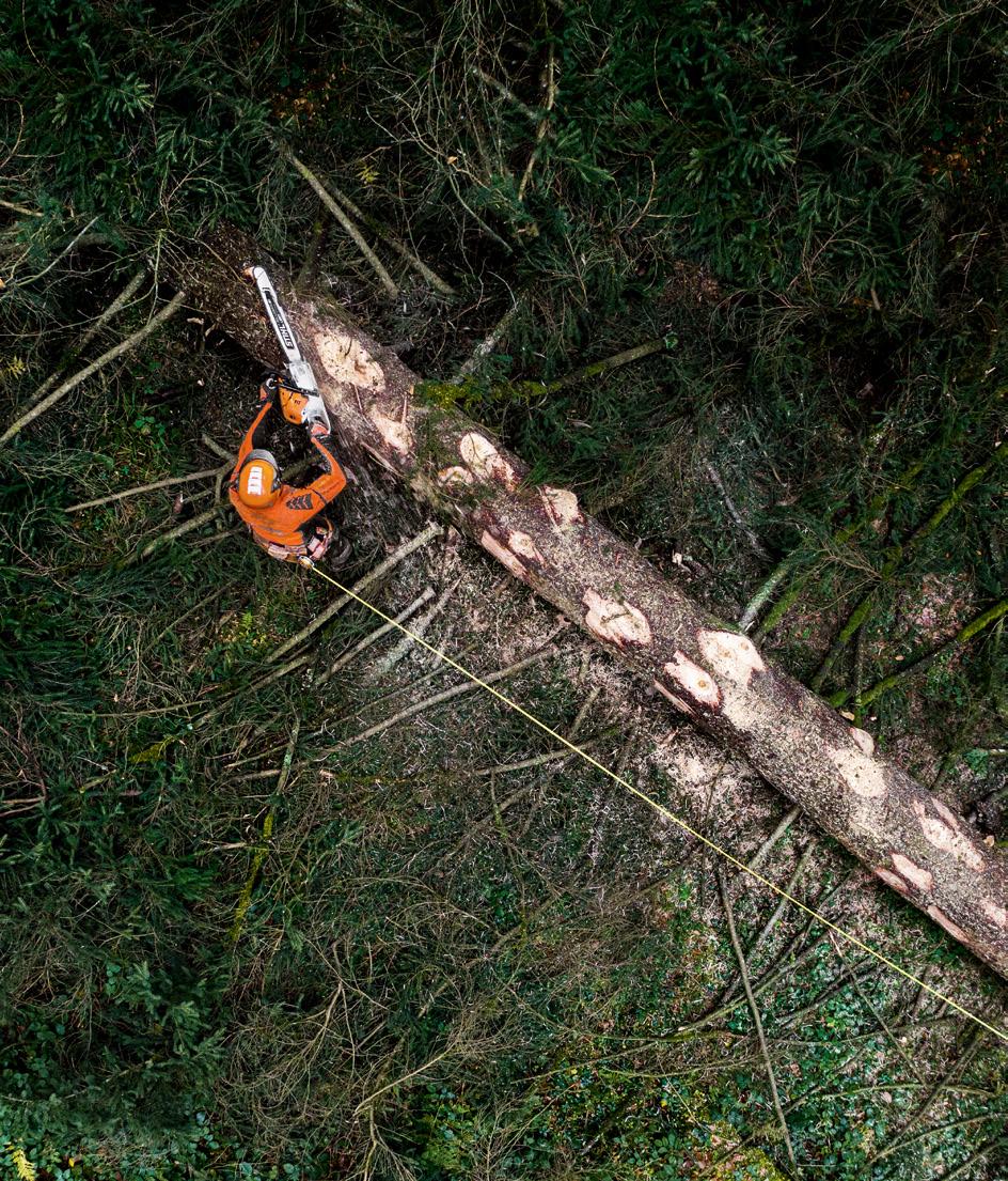 bezpieczeństwo obsługi. Pełna moc w ułamku sekundy Dzięki innowacyjnej technologii MS 00i wyróżnia doskonałe przyspieszenie od 0 do 100 km/h a w niesamowitym czasie 0,2 sekundy.