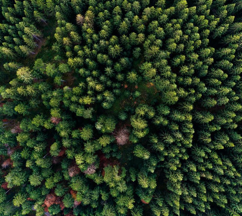 Najwyższa jakość Made by STIHL Oryginalne piły łańcuchowe STIHL Optymalne dopasowanie: